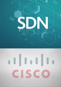 sdn category